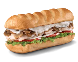 Firehouse subs engineer